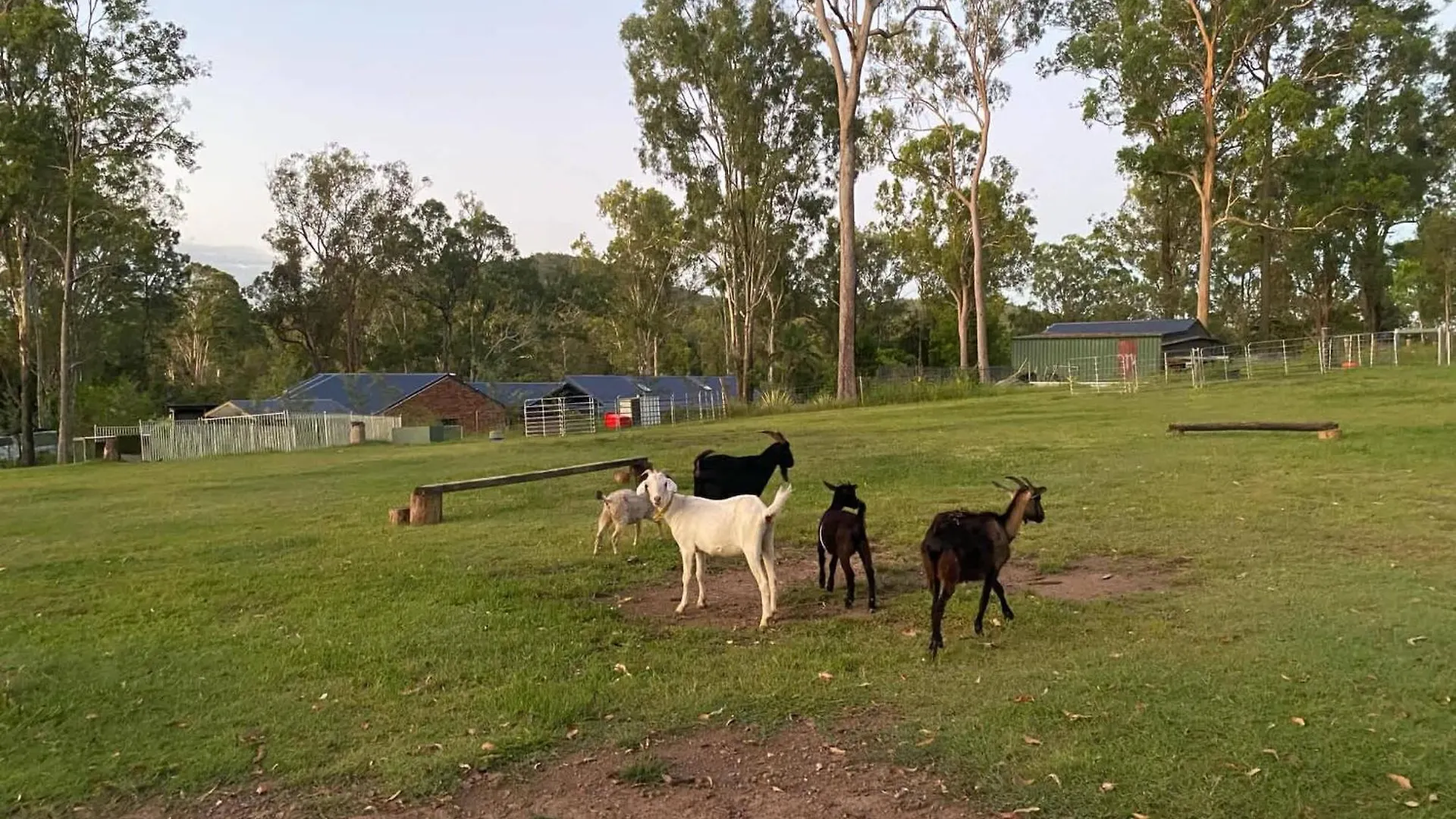 Gemmas Animal Farm By Tiny Away Villa Tamborine 0*,  Australia